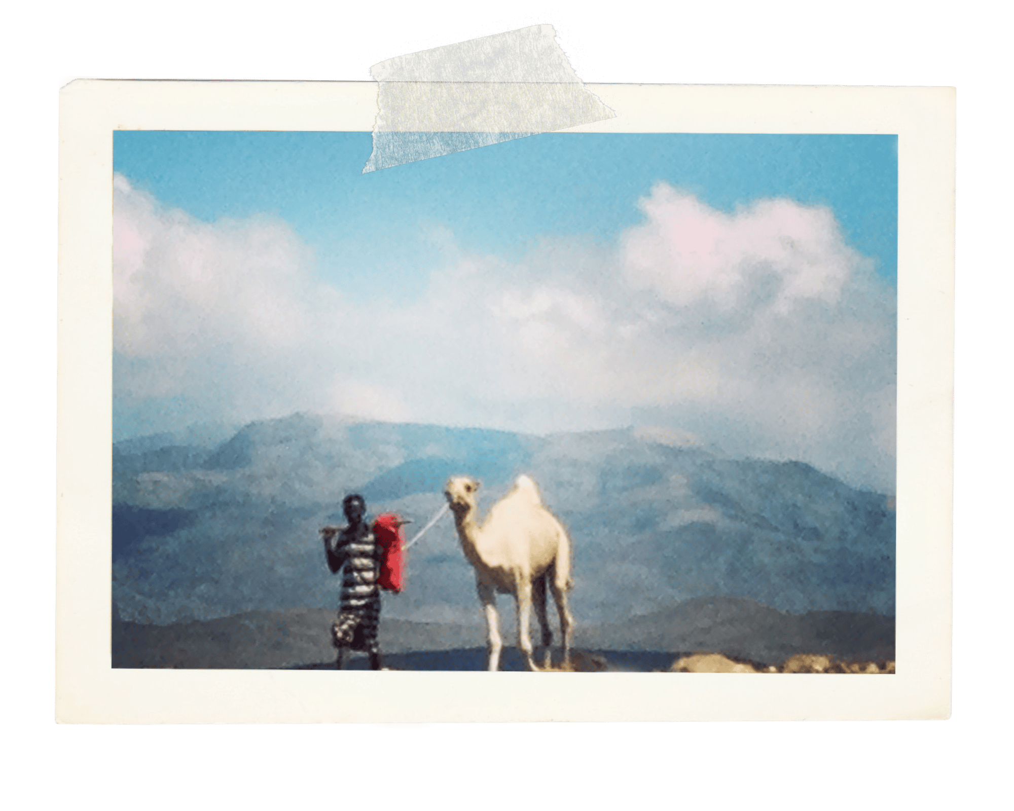 a man walking a white camel against a backdrop of mountains